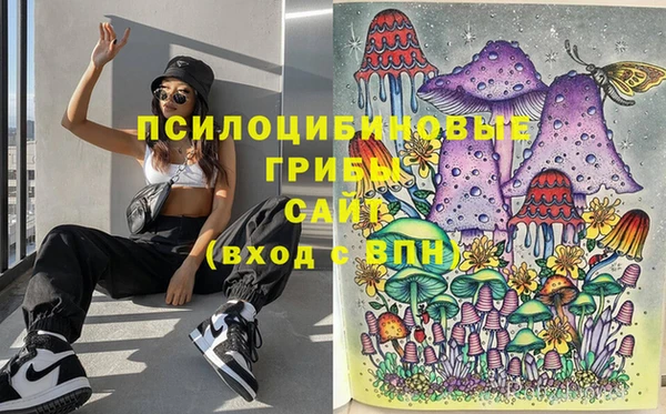 бутират Алзамай