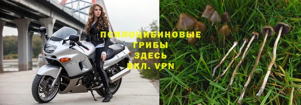 бутират Алзамай